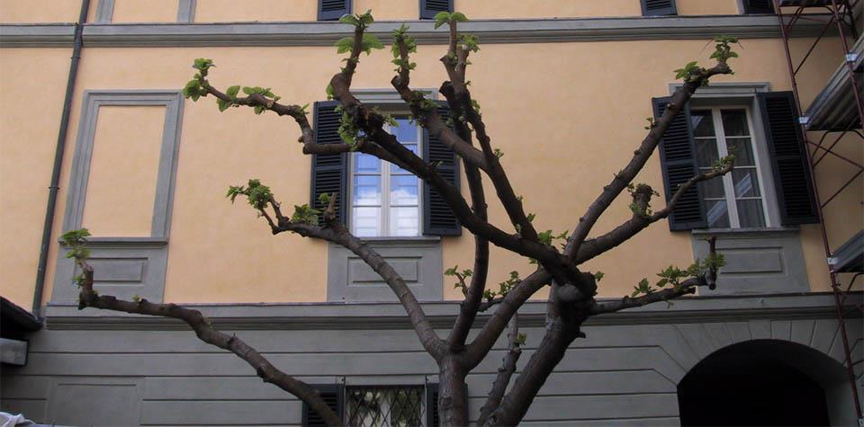 Palazzo Sertoli, Sondrio - fronte su corte del gelso